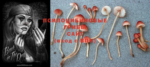 герыч Гусь-Хрустальный