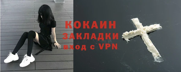 PSILOCYBIN Абаза