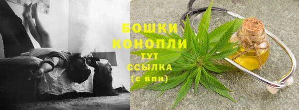 эйфоретик Гусиноозёрск