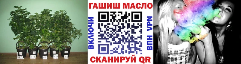 где купить Чегем ТГК THC oil