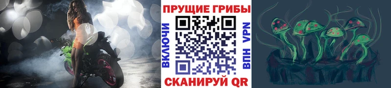 Псилоцибиновые грибы ЛСД  маркетплейс Telegram  Чегем 